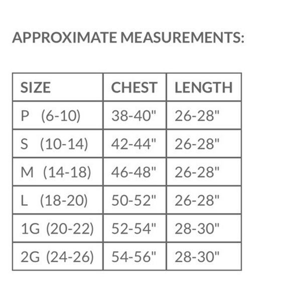 NWT FLAX Linen Medium Salmon Pink Tattersall Dolman Dress Tunic Top Plaid Office - Picture 6 of 7